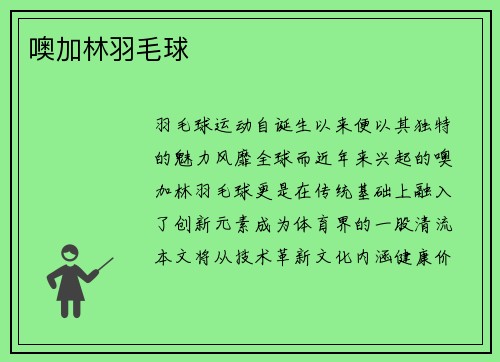 噢加林羽毛球