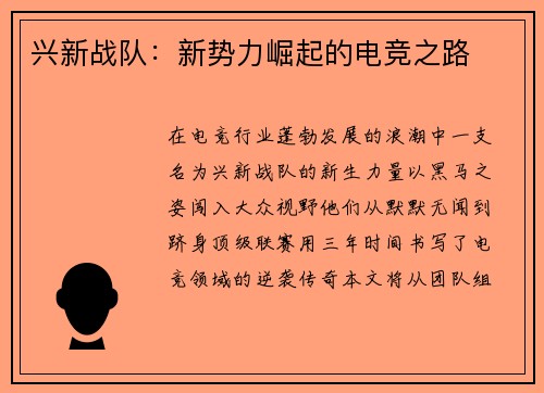兴新战队：新势力崛起的电竞之路